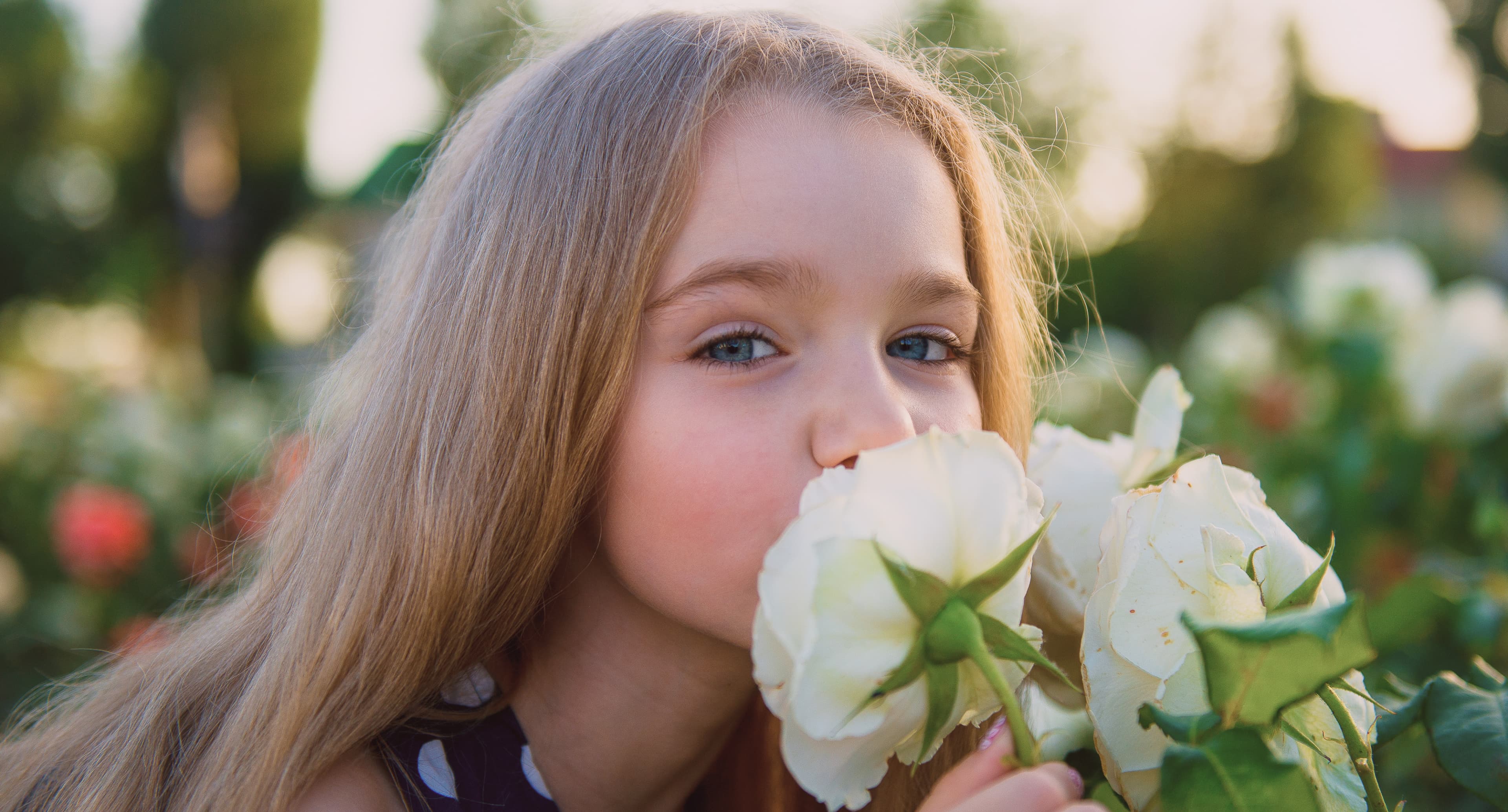 Dziedziniec skąpany w zieleni