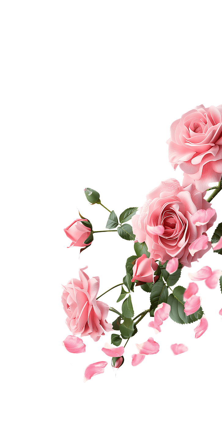 Róża po prawej stronie